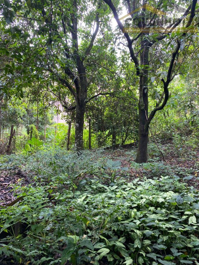 WhatsApp Image 2026-01-22 at 16.47.13 (11).jpeg